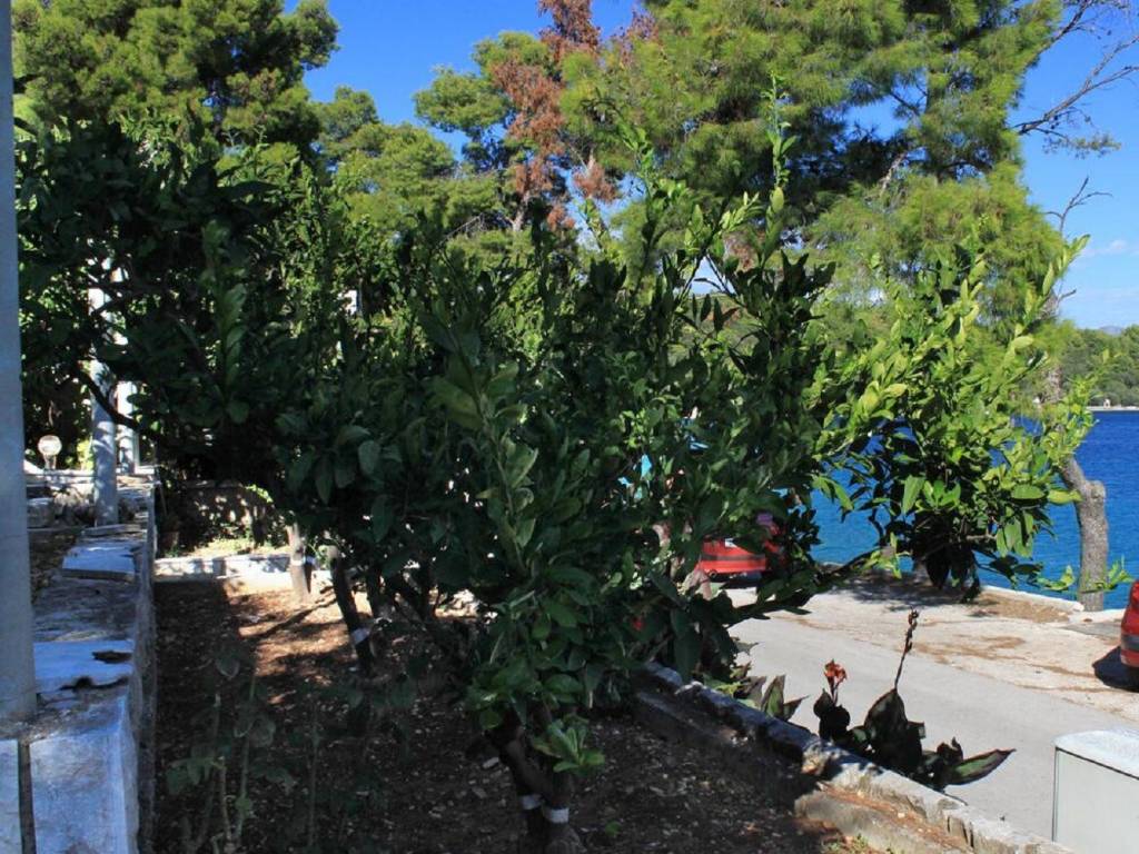 Otok Korčula  Lumbarda 