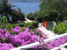 Pelješac Viganj - Apartmani Grego - Appartement 1 Pelješac Viganj - Apartmani Grego - Appartement 1