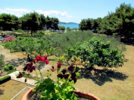 Vodice - ApartmanSoba - Apartmani Jura: Detalji ... Vodice - ApartmanSoba - Apartmani Jura: Detalji ...