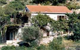 Brač Postira - Appartement Chambre - Apartman Zorko ..