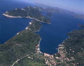 Dubrovnik �ipanska Luka - Apartament Pok�j - Apartmani Sipanska Luka ..
