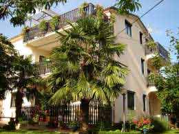Umag Bašanija - Apartman Szoba - Apartmani Doc ..